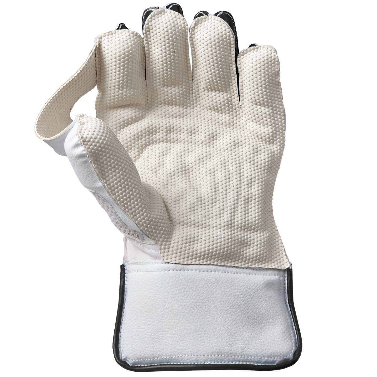 Gunn & Moore Wicket Keeper Gloves Aion