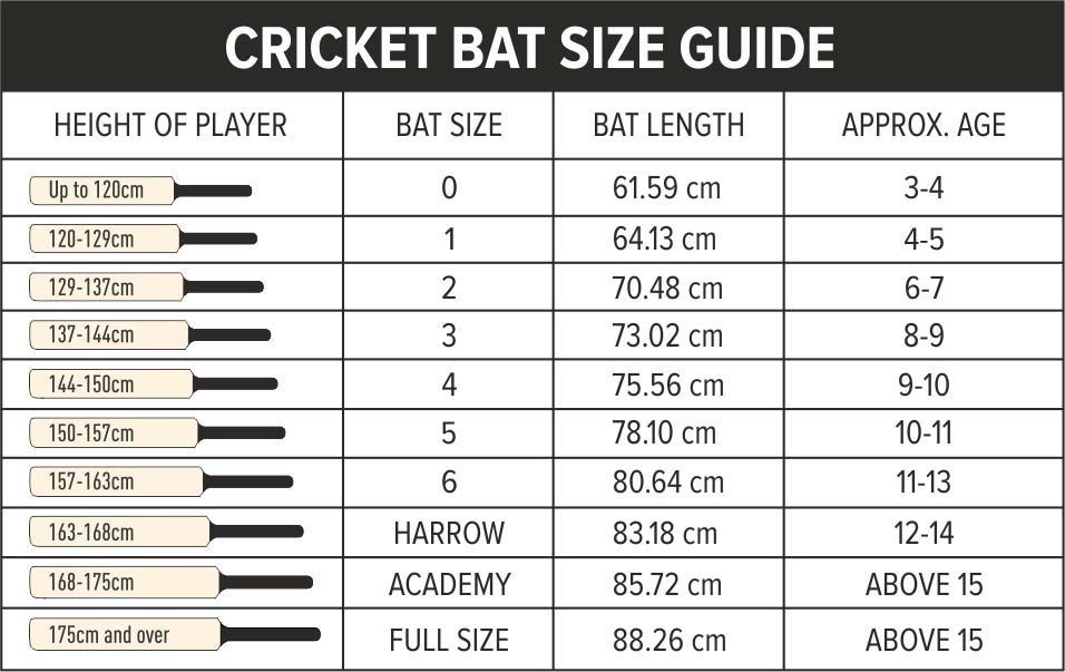 DSC Spliit 2000 English Willow Junior Bat